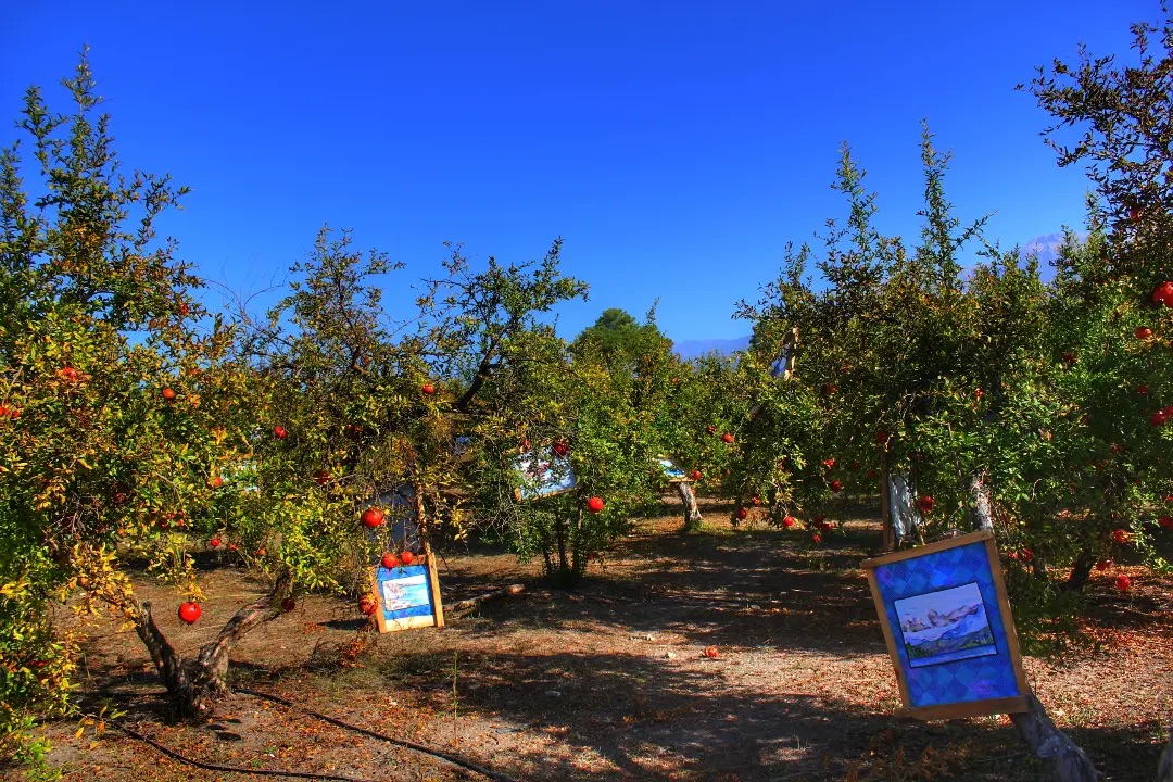 Nar Bahçesi Sanat Sergisi /Doğa İçin Çiz