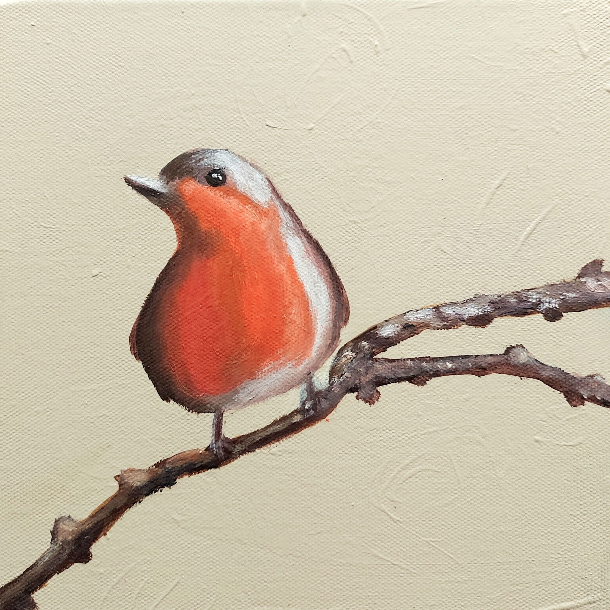 Robin - Tülay Coşkun