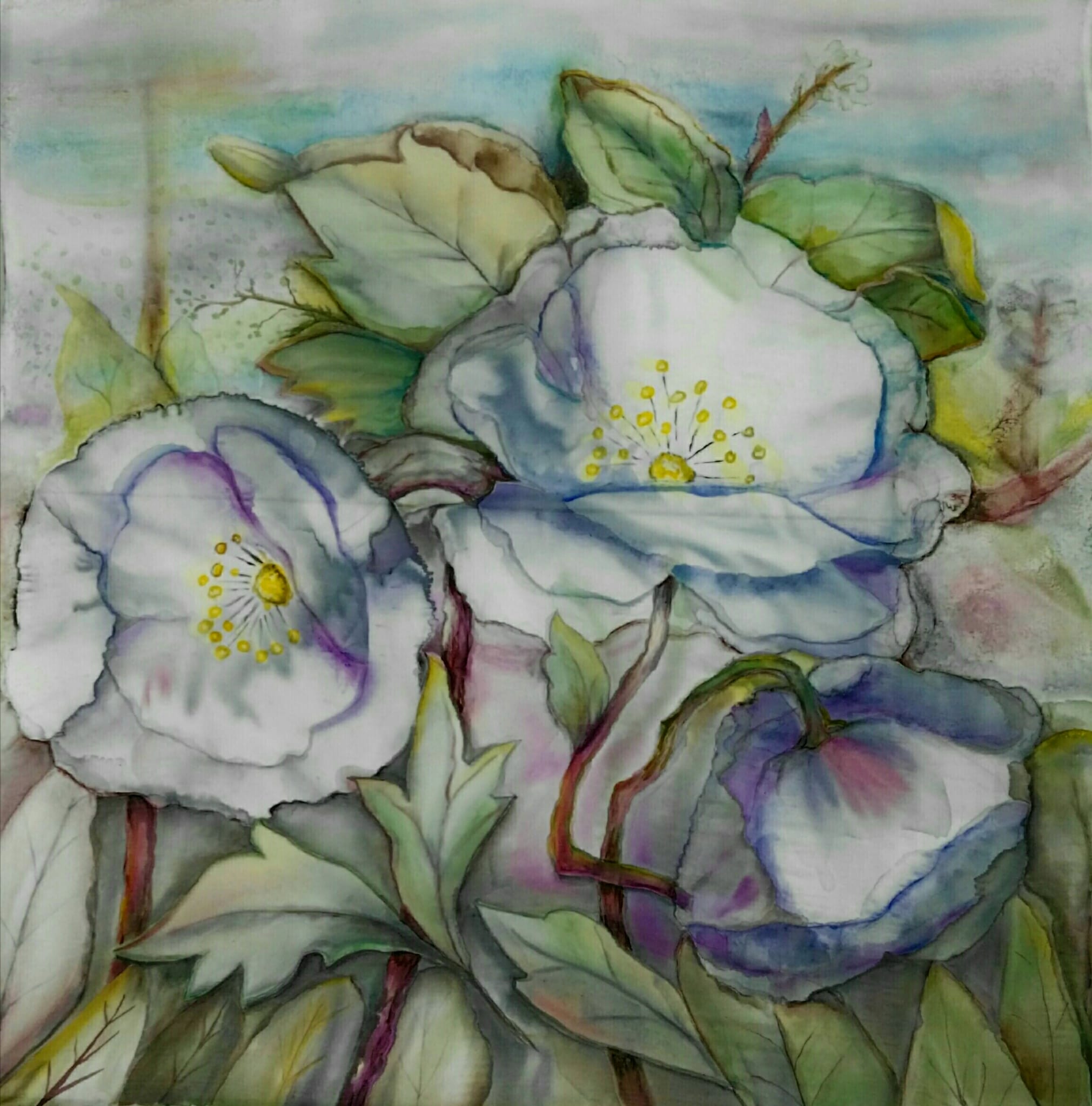 ANEMONE