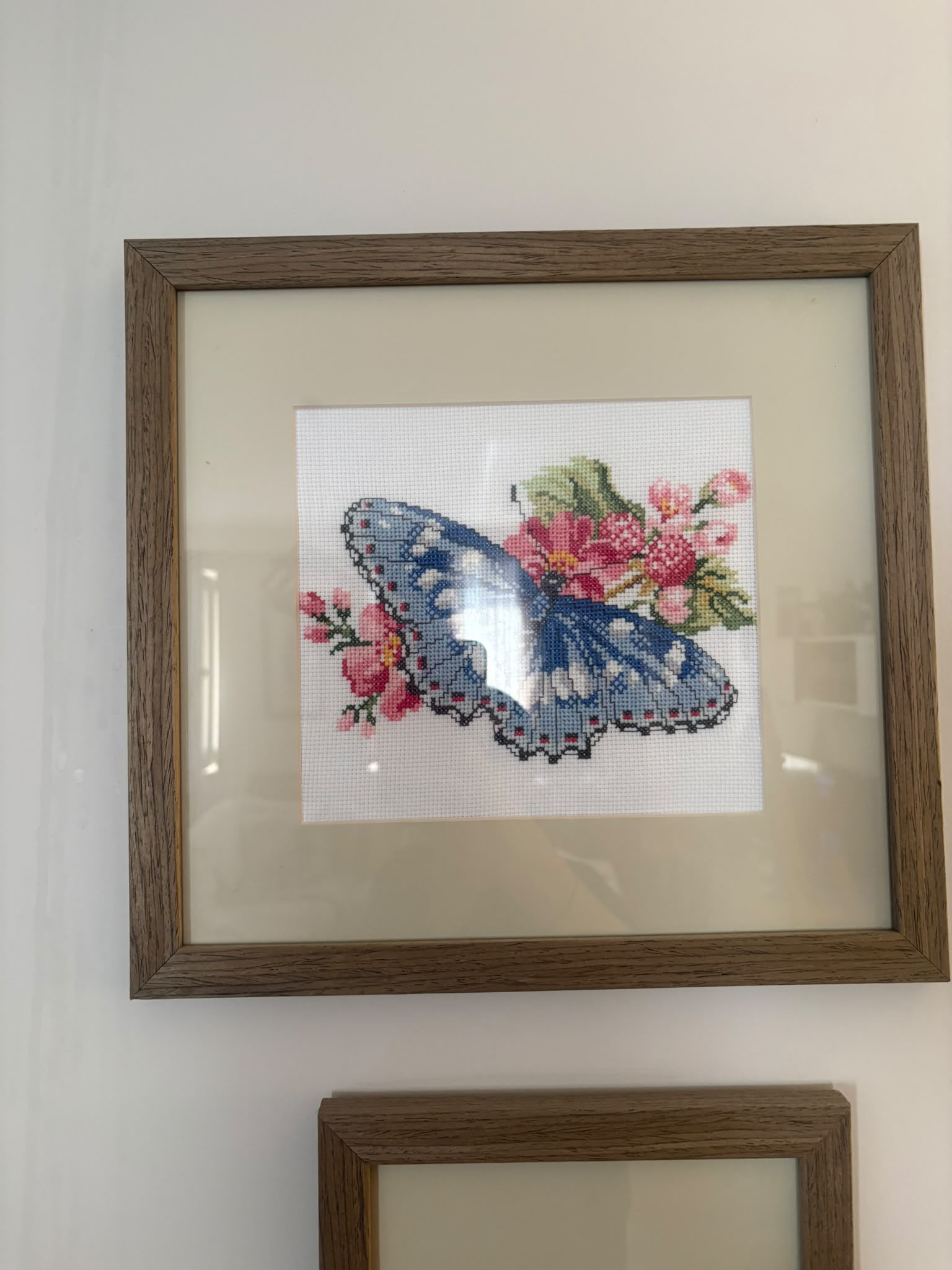 BLUE BATTERFLY
