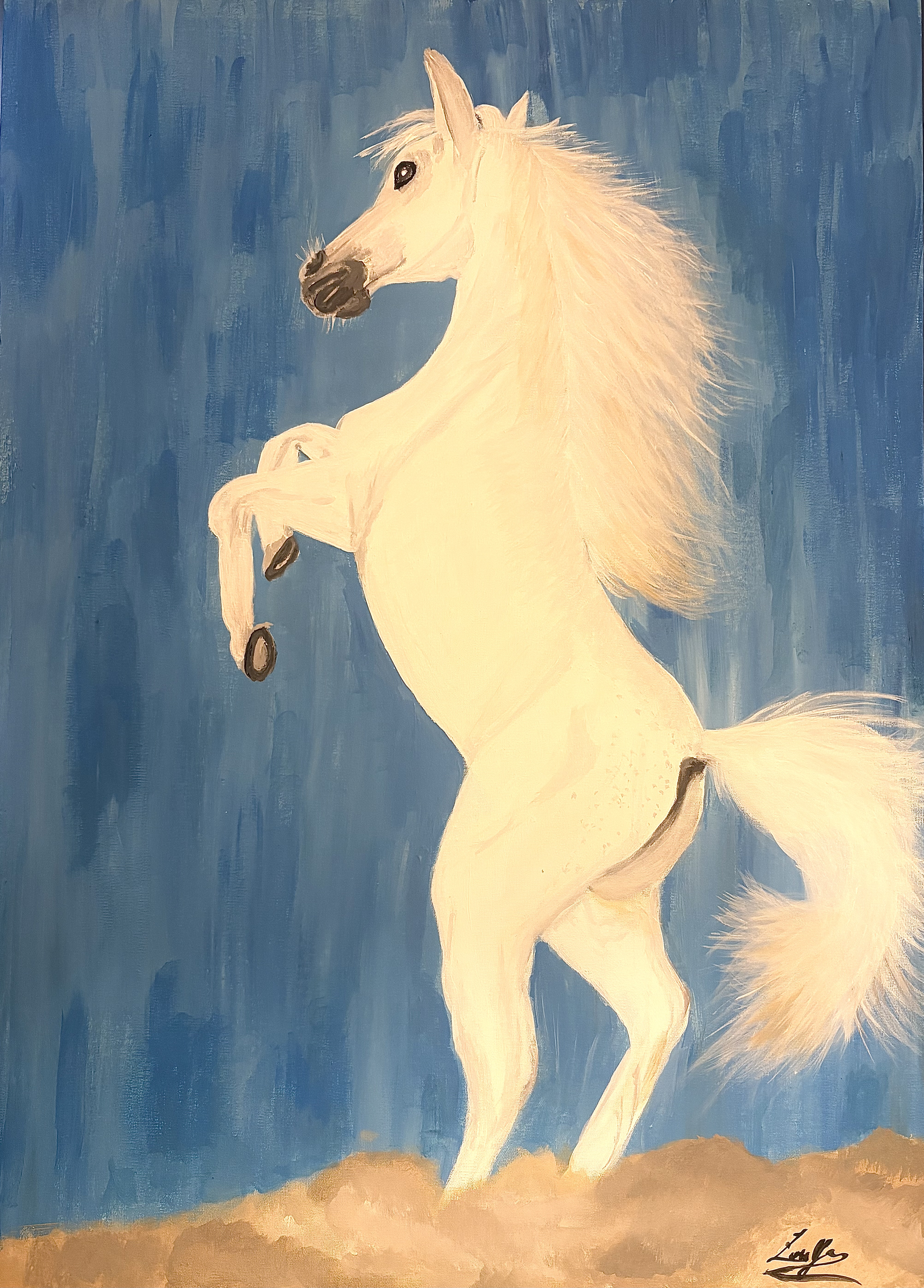 THE FREE HORSE