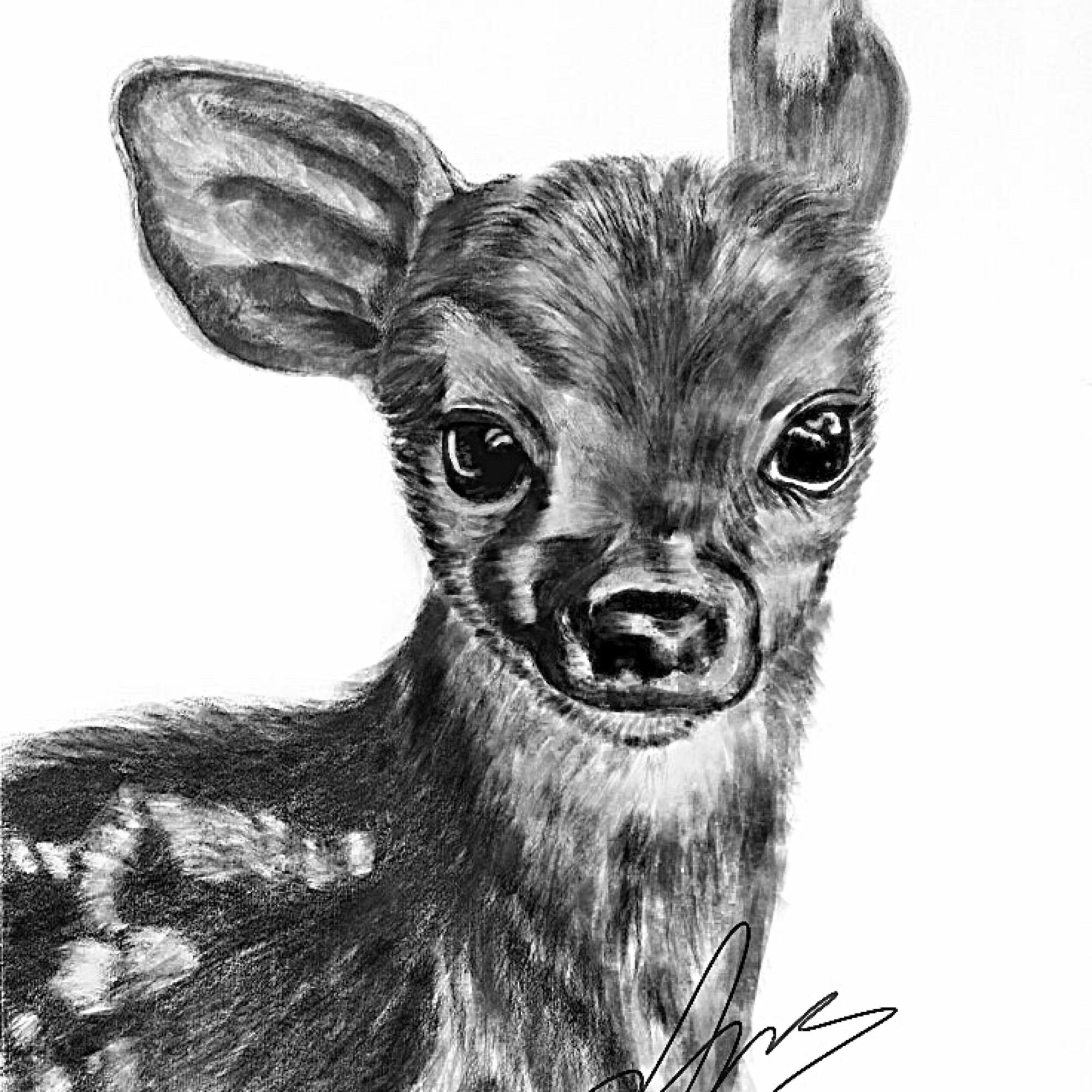 Bambi Karakalem - Maide Şevval Bayramoğlu