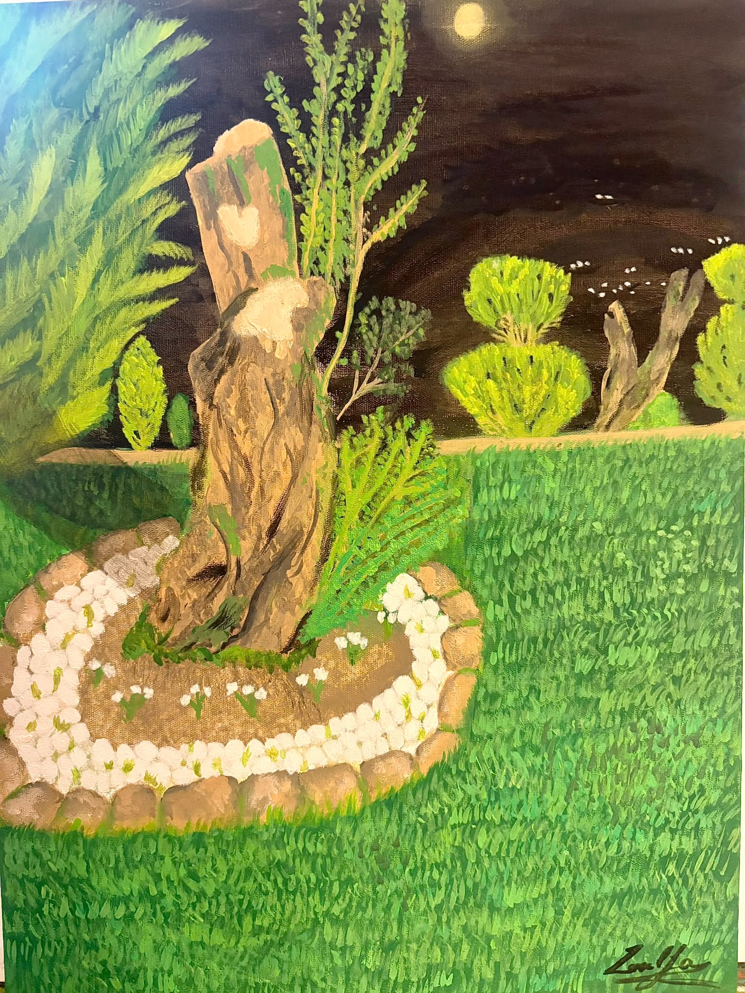 JOURNEY OF OLİVE TREE