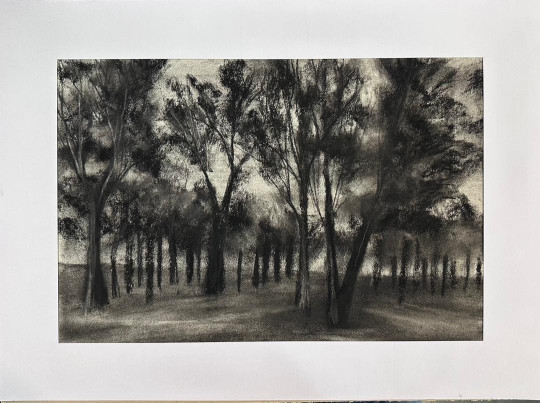 Untitled - Amir Ali Rezaee Shirvan