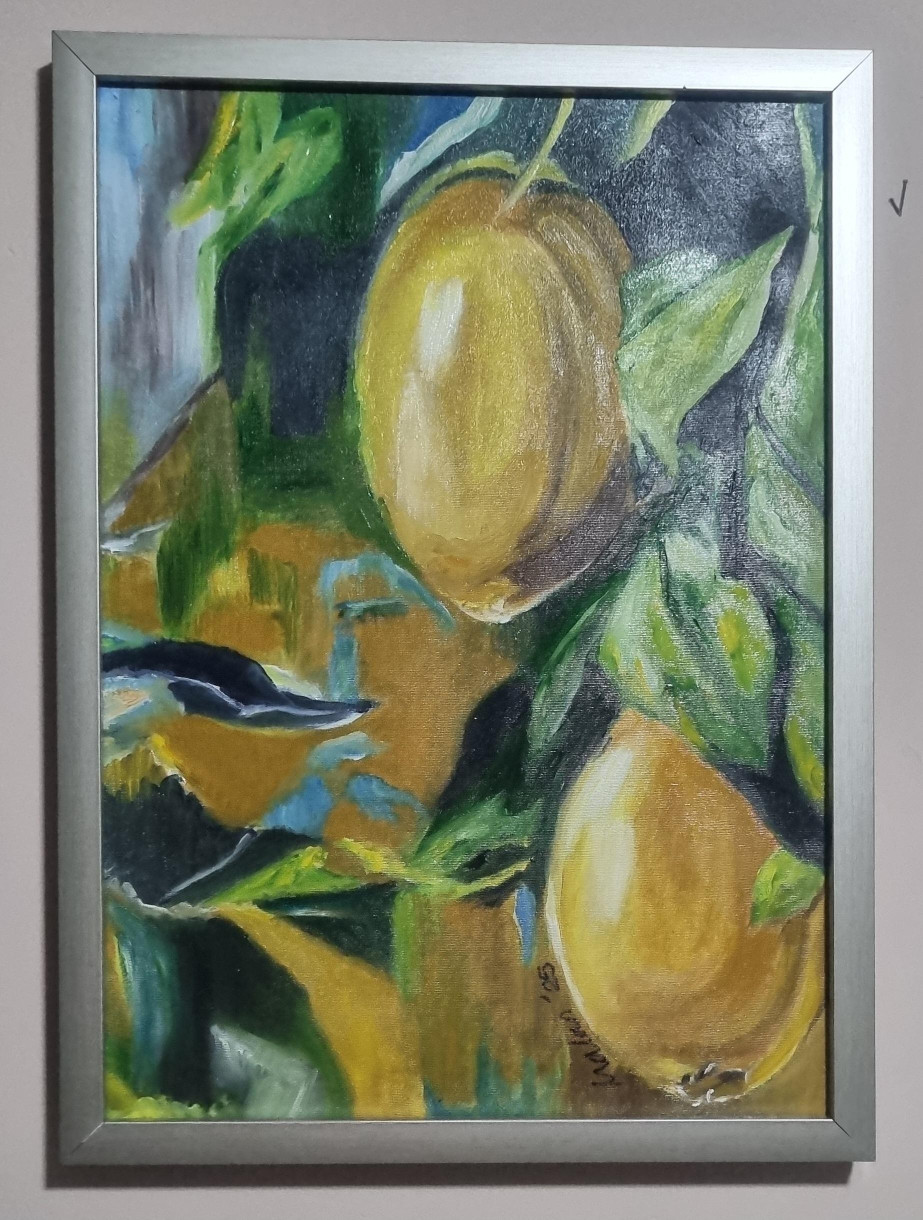 Limonlarım - Nalan Başaran - Nalan Başaran - Nalan Başaran - Nalan Başaran