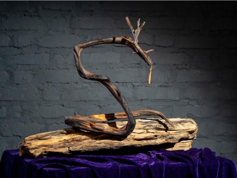 Arash Raissian - Daargoun 33