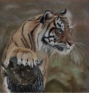 Samira Saadat - Untitled