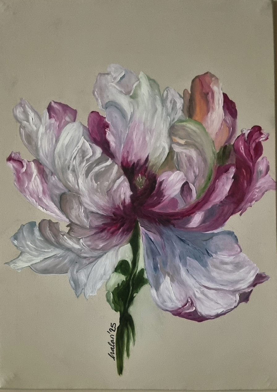 Pembe Güzel 2 - Nalan Başaran - Nalan Başaran - Nalan Başaran