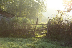 Mohammad Baharfar - Sunrise Over Hedge