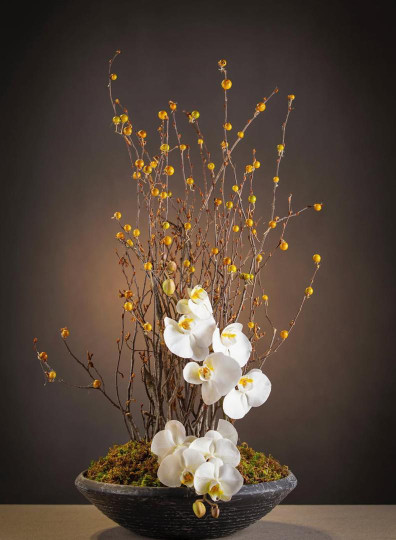 Untitled - Saghar Rezaii