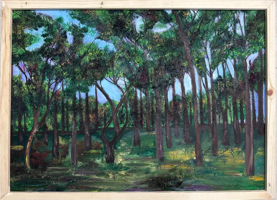 Untitled - Shailin Sadeghi Aval