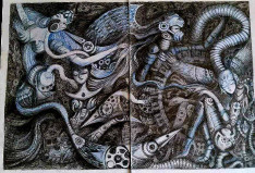 Shima Omidi - Aquarius Women