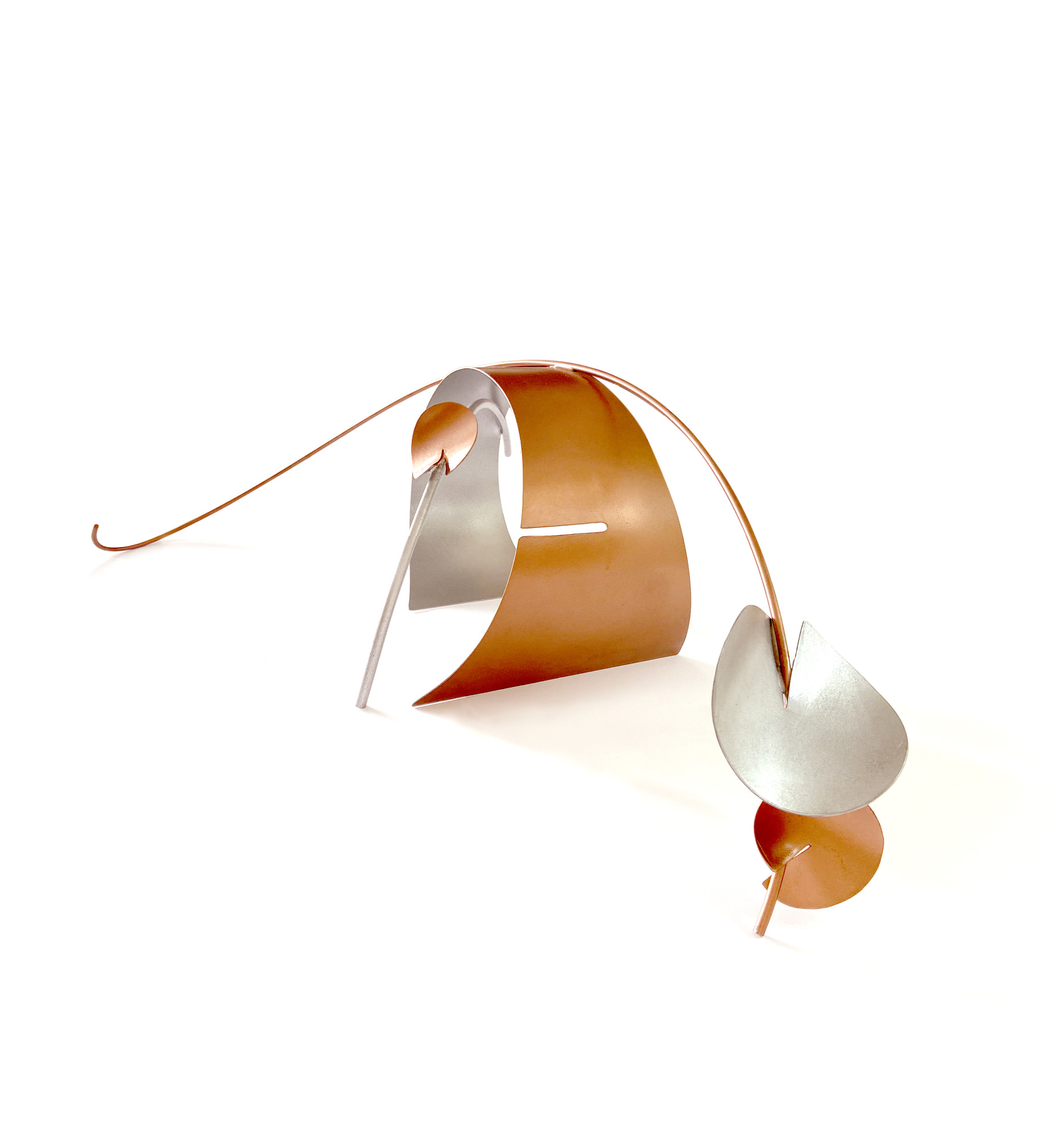 Kuyruğunda Dalganın Anısı